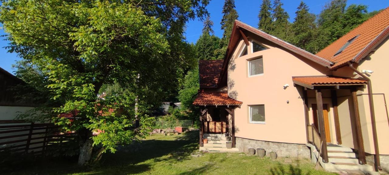 Olt-Part Vendeghaz Hotel BaileTusnad Exterior photo