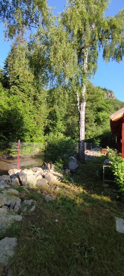 Olt-Part Vendeghaz Hotel BaileTusnad Exterior photo