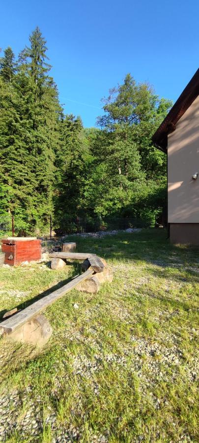 Olt-Part Vendeghaz Hotel BaileTusnad Exterior photo